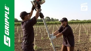 Installing Metal Vineyard Posts feat Gripple Petrol Driver [upl. by Llyrpa]