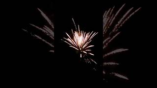 WOW amazing fireworks 🎇😳😲🤩😍🎆 shorts goa fireworks happylife [upl. by Scully]