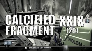 Destiny  Calcified Fragment XXIX 29  Kings Fall Raid Fragment 1 [upl. by Anoet]