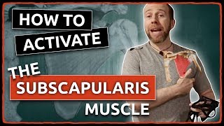 How to ACTIVATE The SUBSCAPULARIS Muscle [upl. by Cesaria]