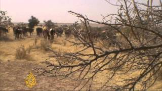 Sahel region faces severe drought [upl. by Klarrisa749]