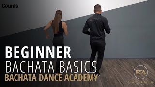 Bachata Beginner Basic Steps Tutorial  Demetrio amp Nicole  Bachata Dance Academy [upl. by Straus339]