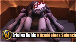 Erfolgs Guide Klitzekleines Spinnchen [upl. by Delamare]