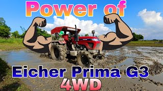 Eicher Prima G3 551 4wd power 🔥💪🏻🔥💥✨cultivating in mud eicherprimag3 4by4tractor viralvideo [upl. by Virendra]