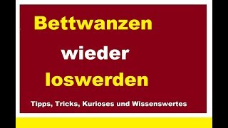 Bettwanzen wieder loswerden Wanzen bekämpfen Woher kommen Hauswanzen Erkennen Bekämpfung Was tun [upl. by Petronilla73]