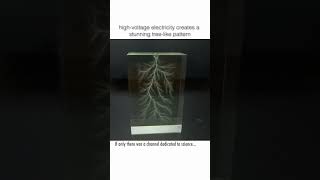 Witness the Electric Beauty of Lichtenberg Figures [upl. by Eiramit725]