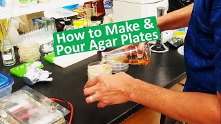 Pouring LB agar plates [upl. by Hairas]