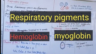 Respiratory pigmentsHemoglobinmyoglobinpashto detail lectures [upl. by Luciano11]