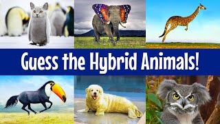 25 Amazing Hybrids  Guess the animals [upl. by Leynad]