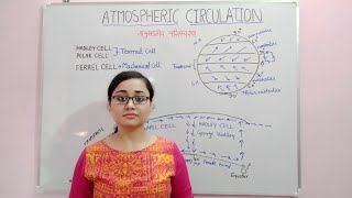 Atmospheric Circulation  Hadley Cell Ferrel Cell Polar Cell Easterlies amp Westerlies  Geography [upl. by Wit]