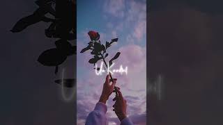 Manam vittu unmaiyai❣sirikadhey song❣whatsapp status❣remo❣tamil love whatsapp status❣Anirudh❣sk❣love [upl. by Siegler]