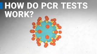 How do COVID19 tests work RTPCR explained [upl. by Isnam574]