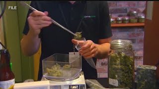 Yes or no Inside Ohios upcoming marijuana legalization vote [upl. by Tnecnev]