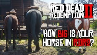 Red Dead Redemption 2 Horses  Size Comparison [upl. by Elyak339]