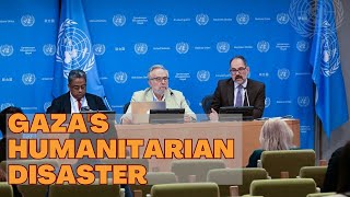 Gazas Humanitarian Disaster UN Special Rapporteurs Call for Action [upl. by Ahseihs]