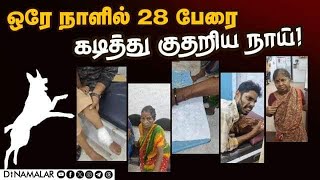 ராயபுரத்தில் ஷாக் தெரு நாய்களை கட்டுப்படுத்த கோரிக்கை  Stray dog bite 28 people  Royapuram [upl. by Iadam863]