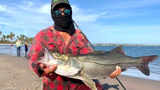 PESCA de PLAYA  pescando ROBALOS de ORILLA  ISRRAFISHING [upl. by Hinson]