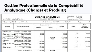 FORMATION PROFESSIONNELLE EN COMPTABILITE ANALYTIQUE CHARGESDEPENSES amp PRODUITSVENTES [upl. by Gebelein]