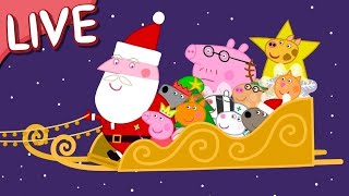 Peppa Pig Christmas Episodes 🎄 Peppa Pig STREAMING NOW 🌈 Kids Videos 🔴 [upl. by Deidre]