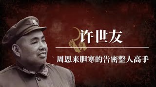 开国上将许世友：让周恩来胆寒的“告密整人高手”！ 毛泽东的“李逵 ” 江青 邓小平 [upl. by Cecilio]