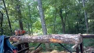 Chainsaw Milling With Logosol M8  Setup and Cutting Log [upl. by Saum263]