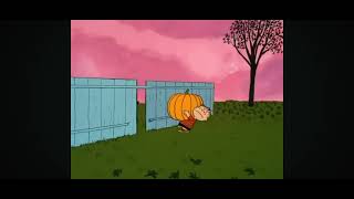 peanuts Linus and Lucy van pelt get a great pumpkin 🎃 [upl. by Flore]