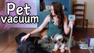 Dog Hair Vacuum I TESTED it on My 3 Dogs [upl. by Snider]