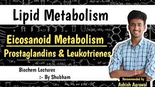 Eicosanoids  Prostaglandins amp Leukotrienes  Lipid Metabolism  Biochemistry Lectures [upl. by Sunshine]