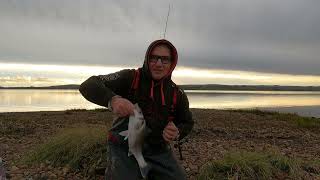 BASS Fishing on the estuary [upl. by Elehcim307]