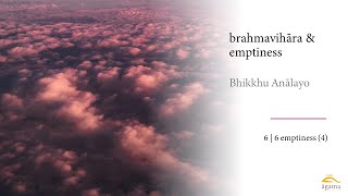 Bhikkhu Anālayo  brahmavihāra amp emptiness English  emptiness 4 66 [upl. by Norga]