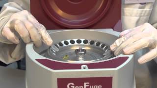 Using the microcentrifuge [upl. by Cristionna]