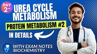 Urea cycle biochemistry  urea synthesis biochemistry  protein metabolism biochemistry [upl. by Gabriel]