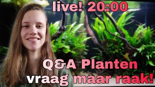 Live Aquariumplanten Houden TOP STREAM Nickey [upl. by Ahtela921]