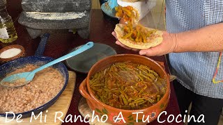 Asi Hago Una Sabrosa Tinga De Nopalitos Barata De Mi Rancho A Tu Cocina [upl. by Anerroc397]