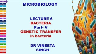 Unlocking Bacterial Secrets Conjugation Transformation and Transduction [upl. by Posehn]