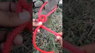 The Great Rope Knot ever knottutorial knots shorts [upl. by Tdnerb]