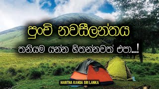 හරිත කන්ද කෑම්පින්  Haritha Kanda Camping  Haritha Kanda Sri Lanka  DA Boys [upl. by Nnairda]