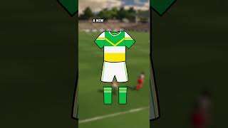 Offaly Kit County Colours Gaelic Football amp Hurling [upl. by Ail]