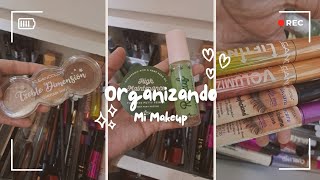 🌷Acompáñame a Organizar Mi Colección de Maquillaje  Limpieza amp Organizacion primersbronzer [upl. by Anirroc]