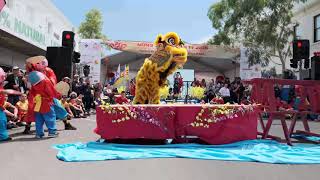 Dai Bi Quan Am  Main Stage Lion Dance Performance  Footscray Lunar New Year Festival 2020 [upl. by Naujahs]