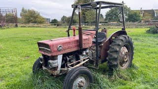 Køb Traktor Massey Ferguson 135 på Klaravik [upl. by Riehl319]