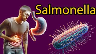 Salmonella Explained Symptoms Treatment and Prevention Tips [upl. by Egrog15]