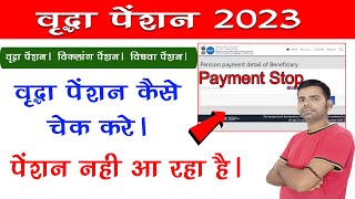 Pension Payment Kaise Check Kare  Pension List Kaise Dekhe  Pension Payment Detail  Pension 2023 [upl. by Fidela424]