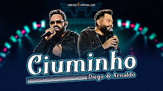 Diego e Arnaldo  Ciuminho Videoclipe Oficial [upl. by Elokcin]