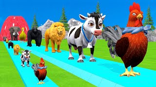 Paint amp Animals CowGorrilaElephantSheepDeerTiger Fountain Crossing Transformation Cartoon [upl. by Ita802]