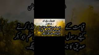 ASHAB E MUHAMMAD SAW HAQ KY WALIshortvideo abubakar usman ali umar [upl. by Ariik]