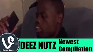 NEW Deez Nuts Vine Compilation  Deez Nuts Got em Vines  Funny Deez Nuts Vines  The Best Viners ✔ [upl. by Amelia]