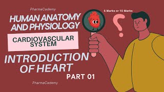 Cardiovascular System Anatomy  Heart  Bpharm1st sem [upl. by Hanahs743]