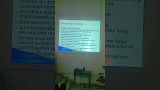 Recesses of pleura doctorstrendingmillionaireforyou mbbsstudybahriaviralshortviralvideo [upl. by Metzger]