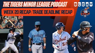 Tigers Minor League Report Week 20 RecapDillon Dingler welcome to Detroit [upl. by Asilrak295]